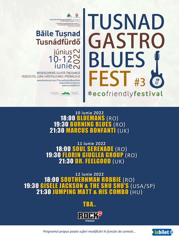 Tusnad Gastro Blues Fest ediția a III-a - contemporary-establishment
