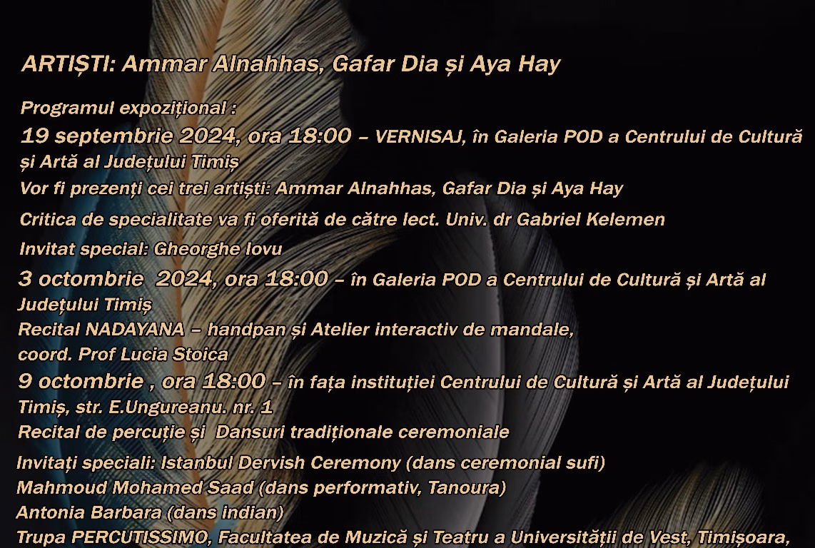 Recital inedit de handpan cu Nadayana și atelier de mandale la Galeria Pod din Timișoara - ZaTurk